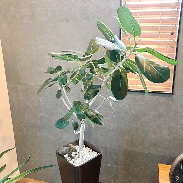 hm_myhomeさんの実例写真