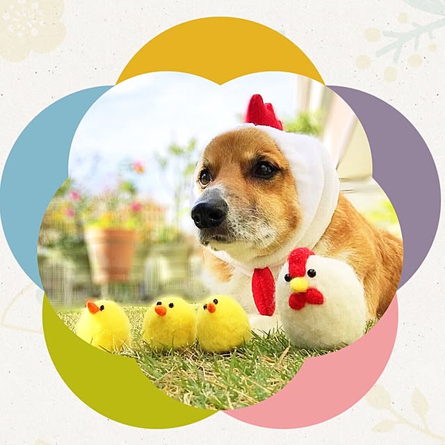 EMIさんの実例写真