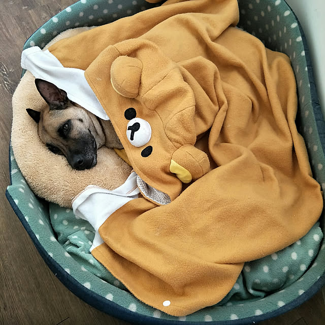 hahamiya365さんの実例写真