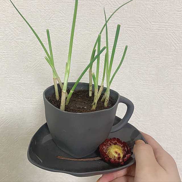 yuzukaさんの実例写真