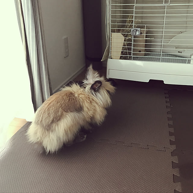mさんの実例写真