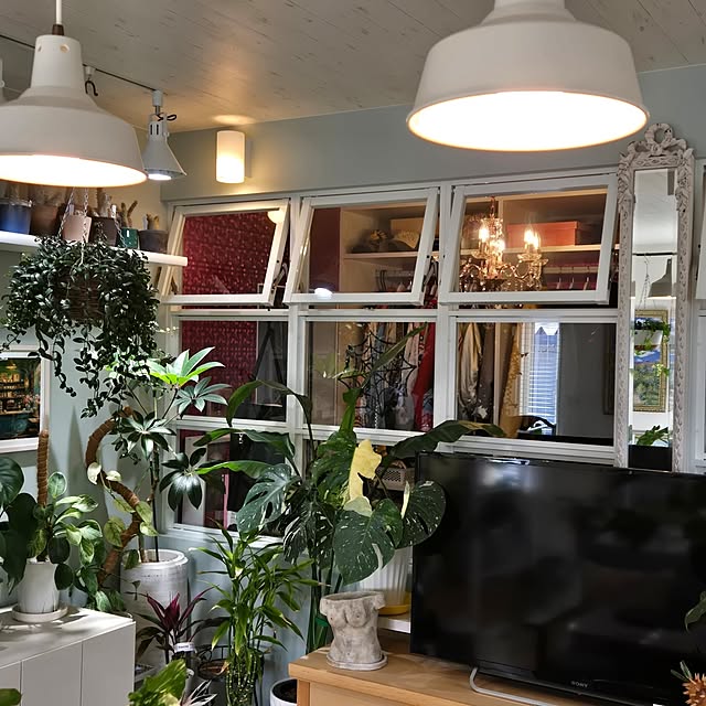 nonbiri_house_さんの部屋