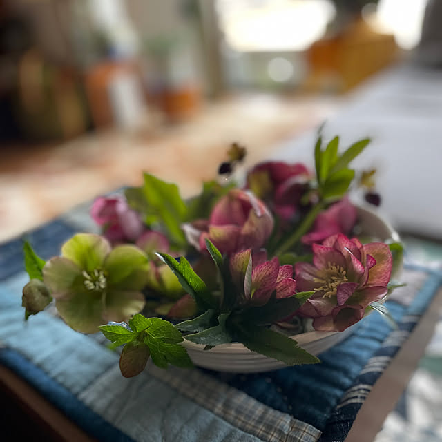 buchiさんの部屋