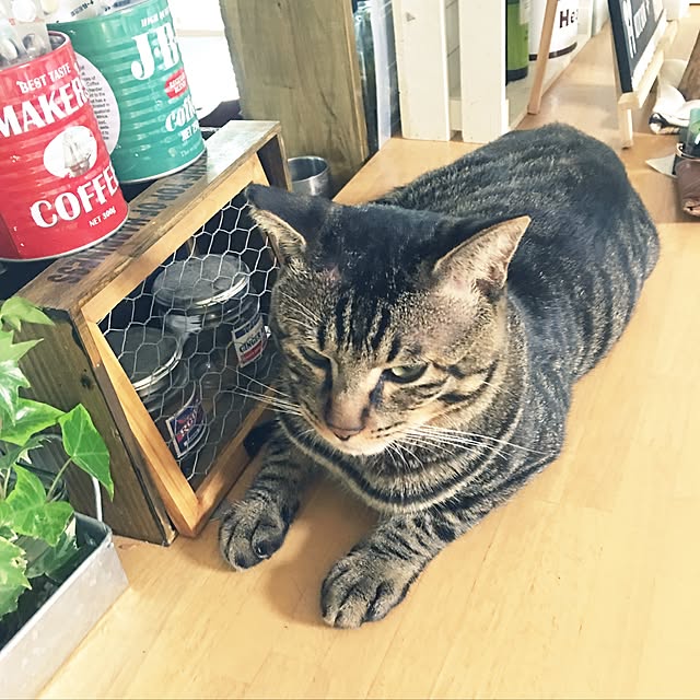 konnakanjiさんの実例写真