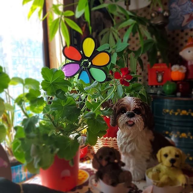 kumutanさんの部屋