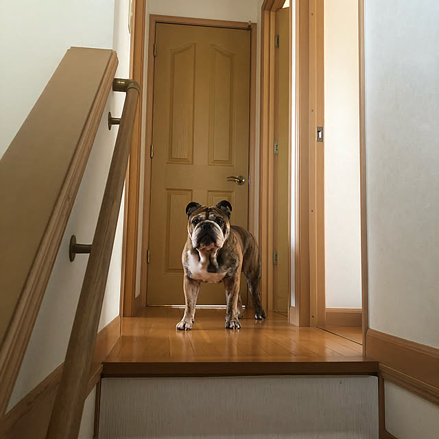 chi_gogaさんの実例写真