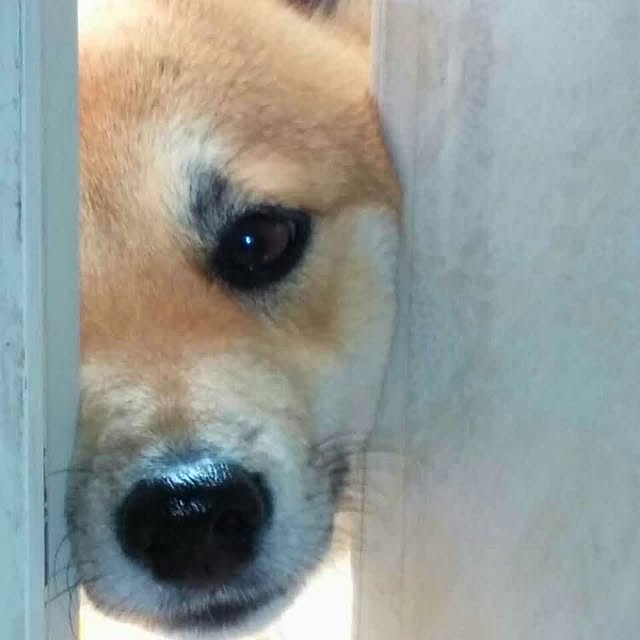 nanaさんの実例写真