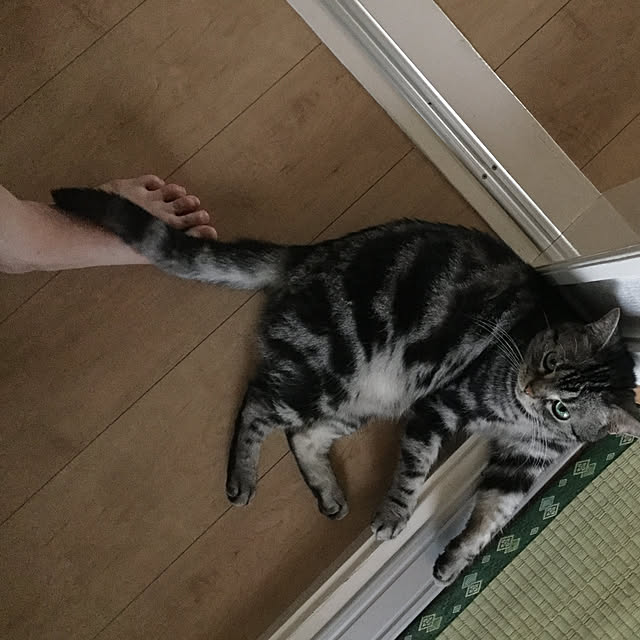 richanさんの実例写真