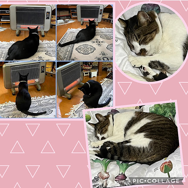 jijiさんの部屋
