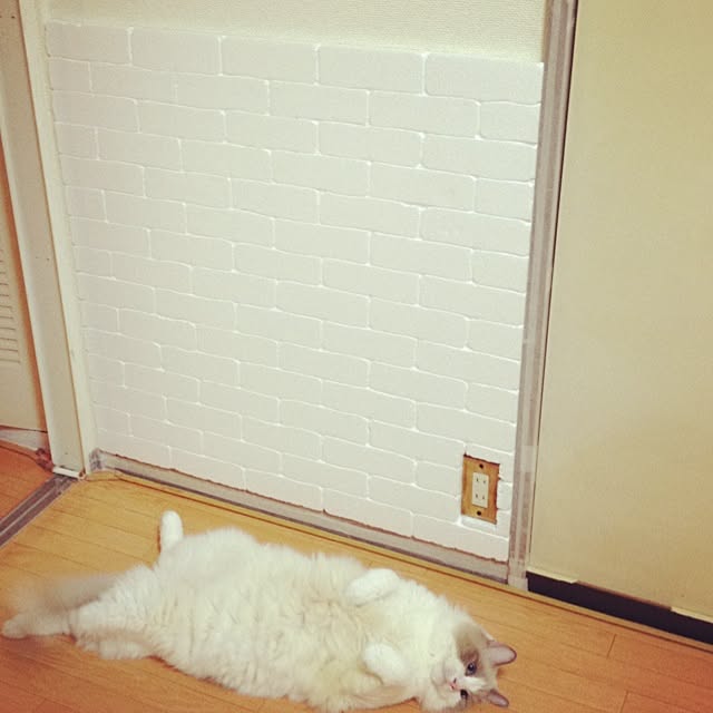 runtenさんの実例写真