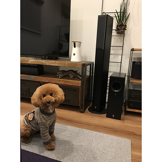 h-1o0さんの実例写真