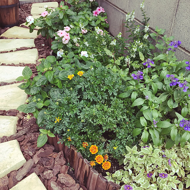 kana_homestyleさんの実例写真