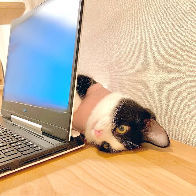 nenemさんの実例写真