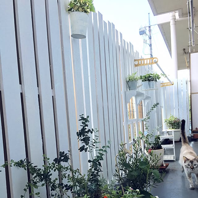 noelさんの実例写真