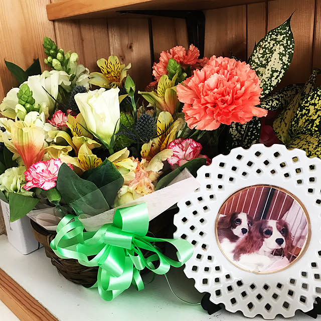 canmilmamaさんの実例写真