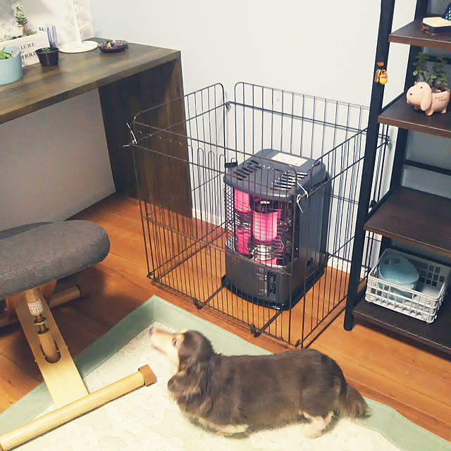chocococoaさんの実例写真