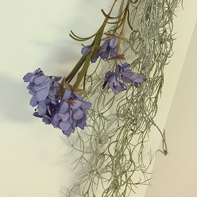 Sachikoさんの実例写真