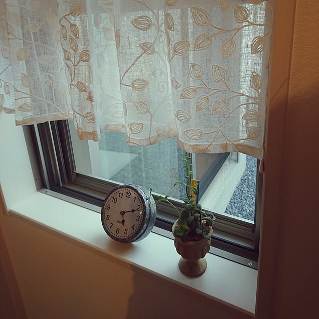 aiさんの実例写真