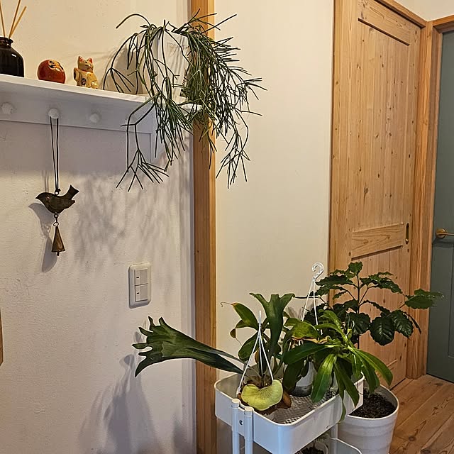 mayumiさんの部屋