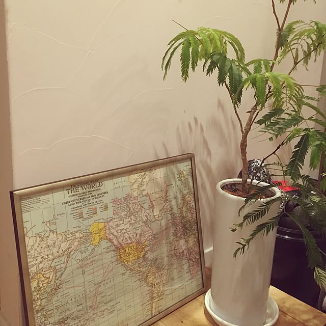maikoさんの実例写真