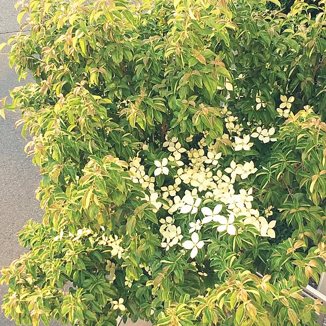 takeさんの実例写真