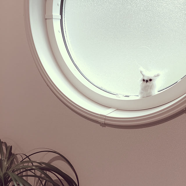 Mamiyさんの実例写真