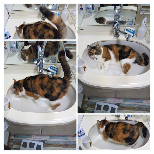 yukieさんの実例写真