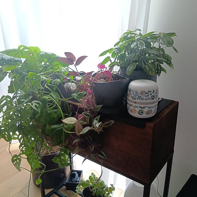 anmomaruさんの部屋