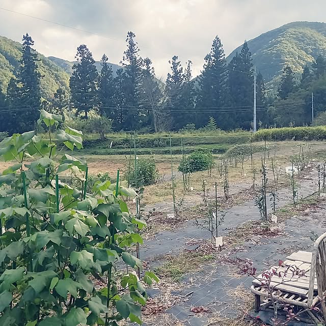 civicglさんの実例写真