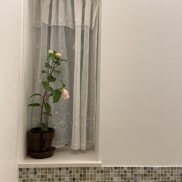 kazumiさんの実例写真
