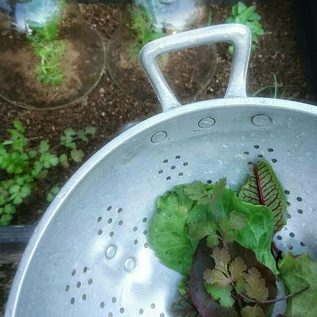 weさんの実例写真