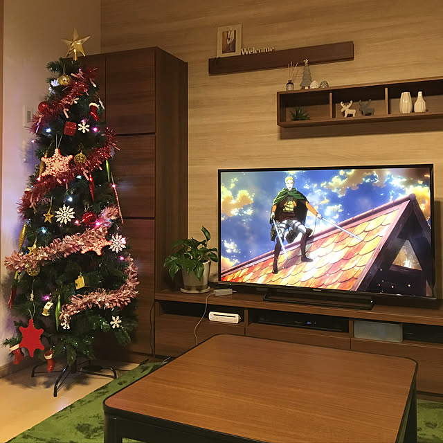 実例写真