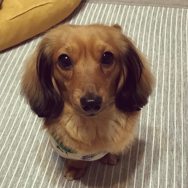 omemu.f.dさんの実例写真