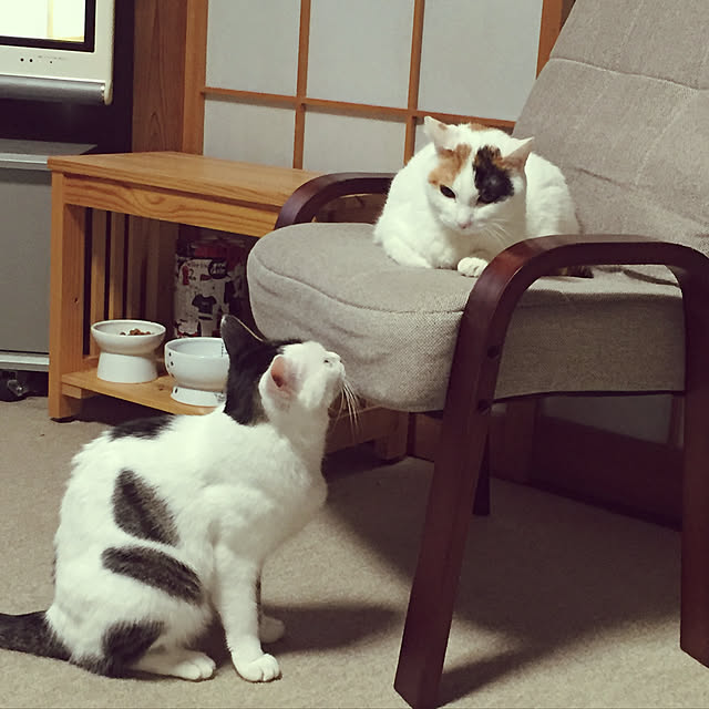 yocchiさんの実例写真