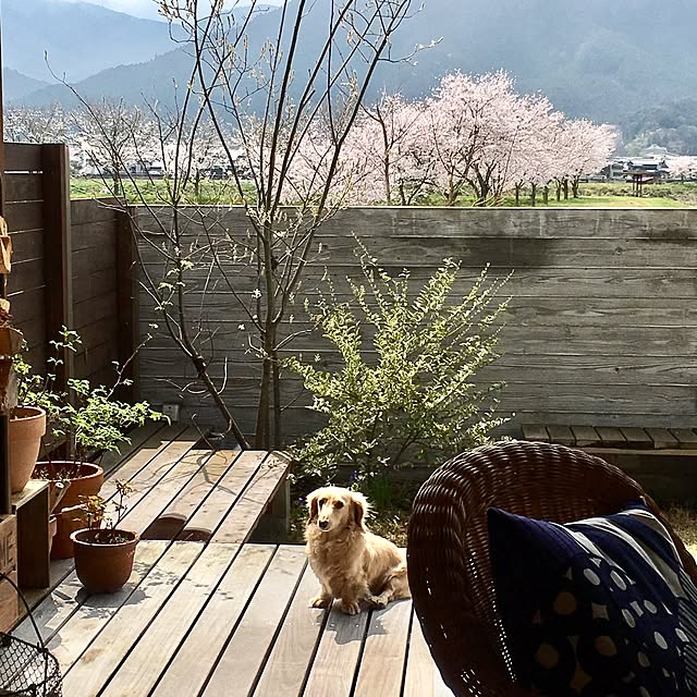 yukariさんの実例写真