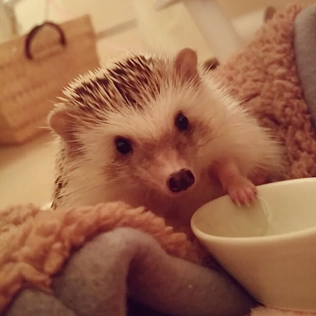 kuruさんの実例写真