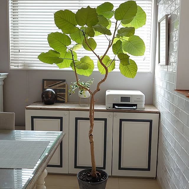 SHIROYAGIさんの部屋