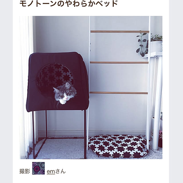 emさんの実例写真
