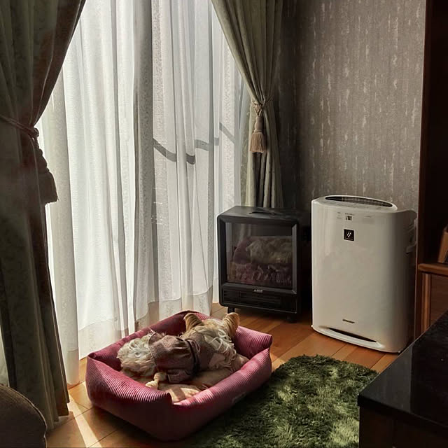 riaさんの実例写真