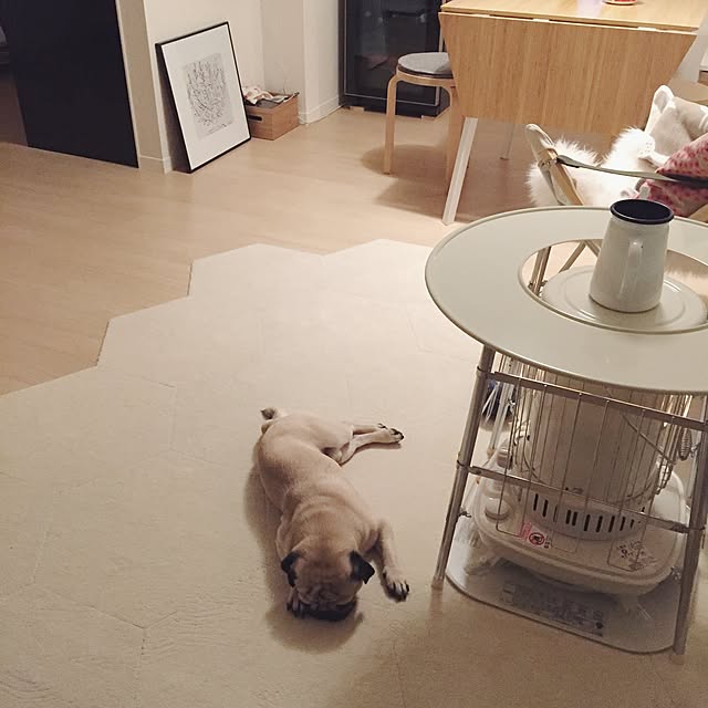 YUIさんの実例写真