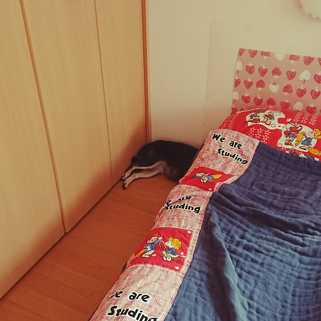 xxxakyxxxさんの実例写真