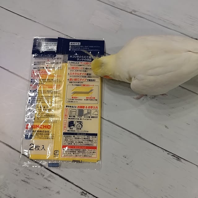 toratanさんの部屋