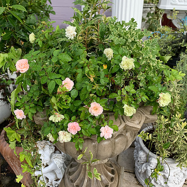 AYUKOさんの実例写真