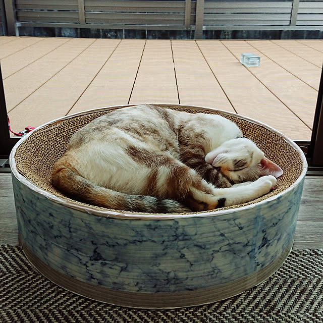kohakuさんの実例写真