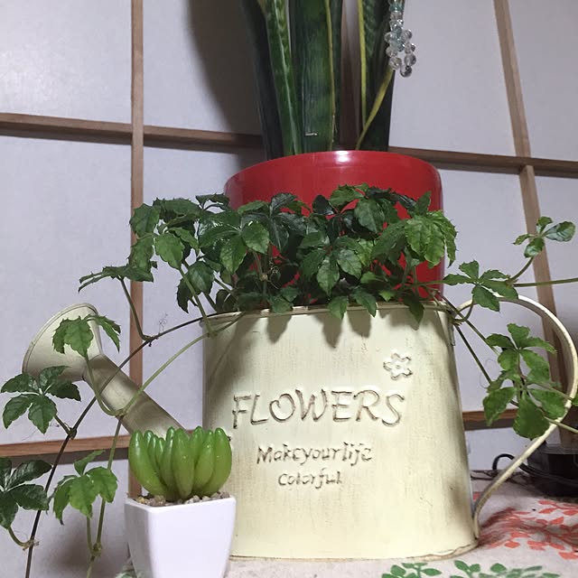 chakoさんの実例写真