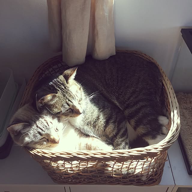 tsukiyuzuさんの実例写真