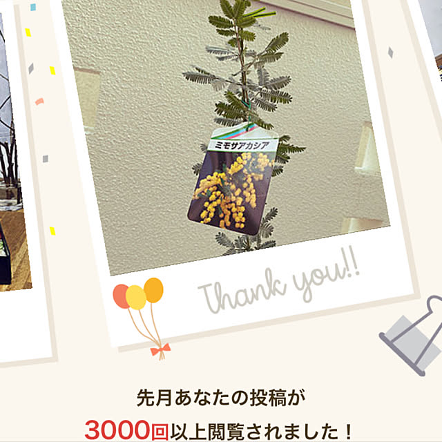 machahomeさんの実例写真