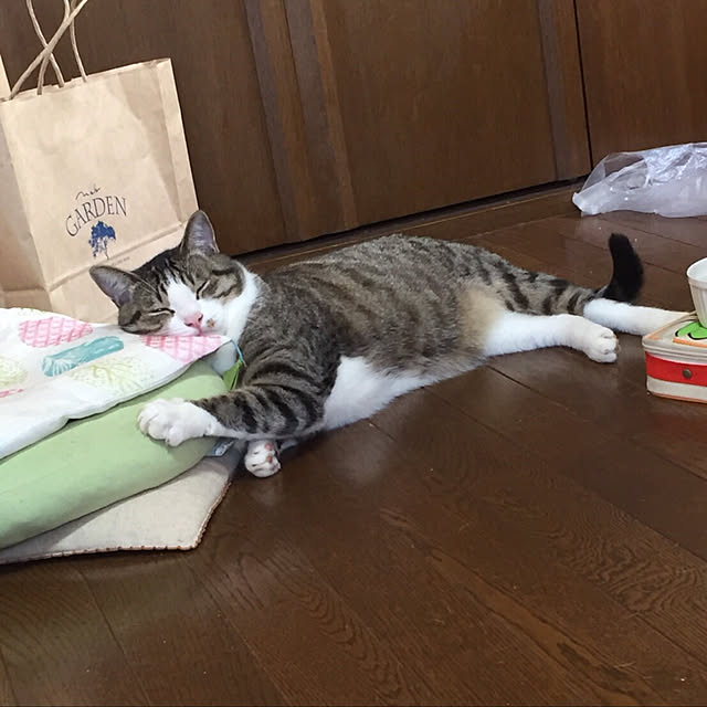 ofuさんの実例写真