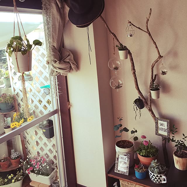 s.e.dさんの実例写真