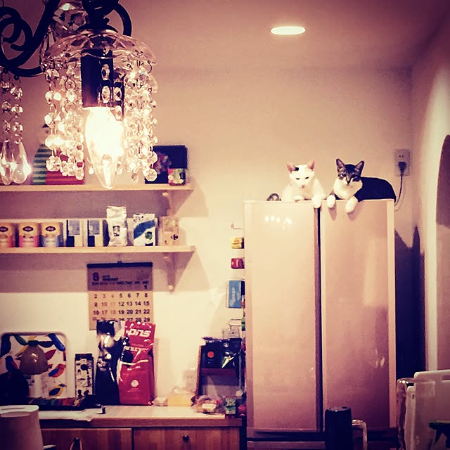 kami_koyaさんの実例写真